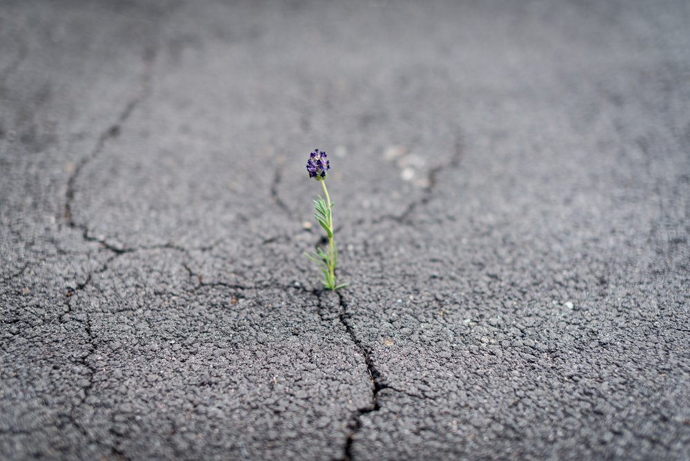 Create a resilient organisation