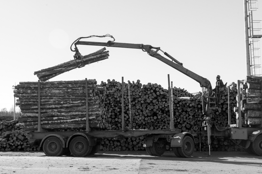 Log it like you mean it