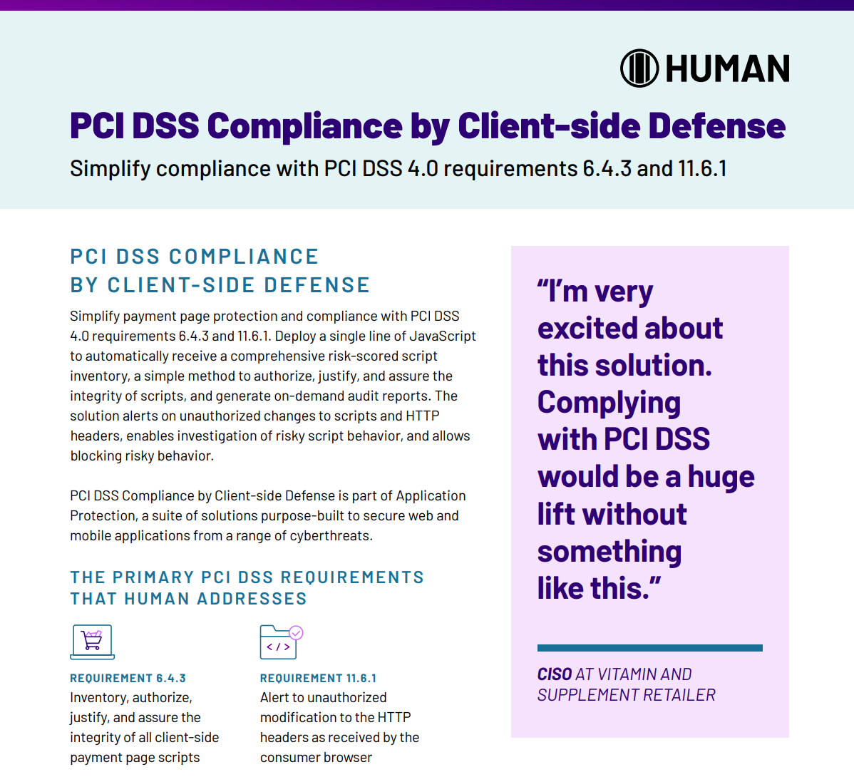 >Simplify payment page protection & compliance